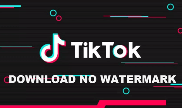 Where can I find a good downloader for Tik Tok videos?