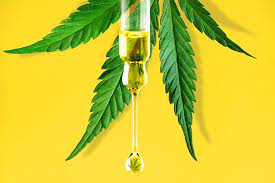 Discover The Top CBD Oil Products for Enhancing Your Cognitive Function