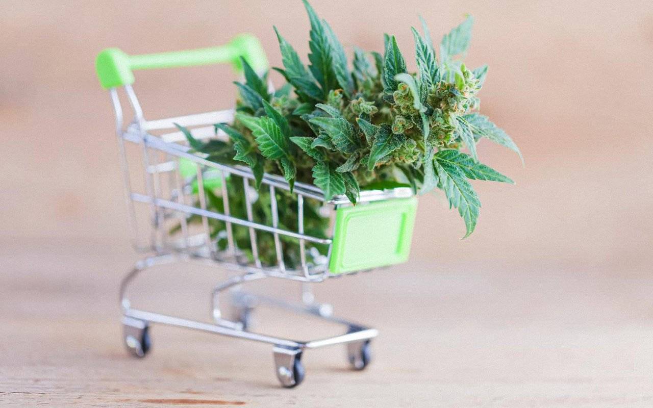 Buy weed online: Embrace the Convenience of Online Shopping