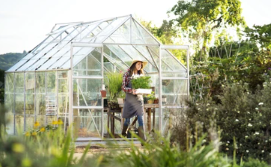 Horticultural Havens: Unveiling Greenhouses for Sale