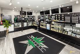 Weed Wonderland: Exploring the Best Dispensaries in DC