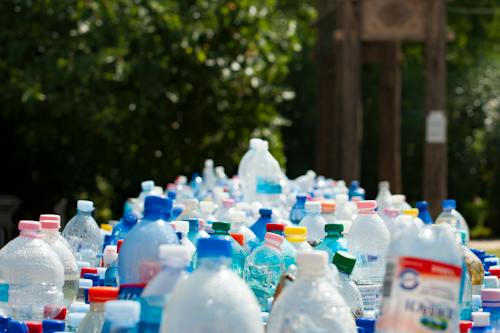 Plastic Revolution: Shaping a Greener Tomorrow through Recycling